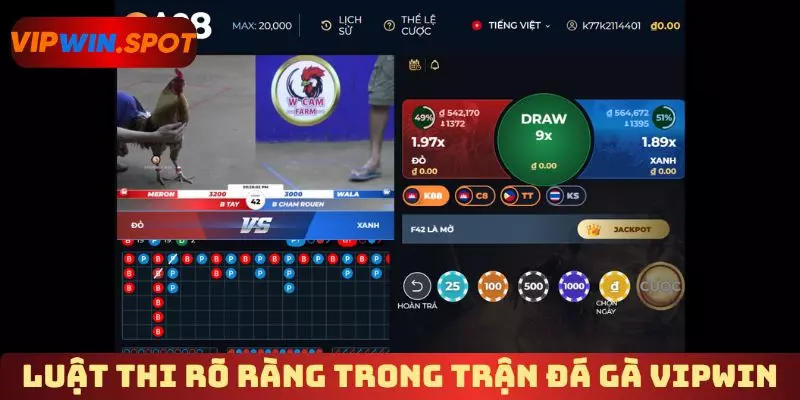 Luật thi rõ ràng trong trận đá gà Vipwin